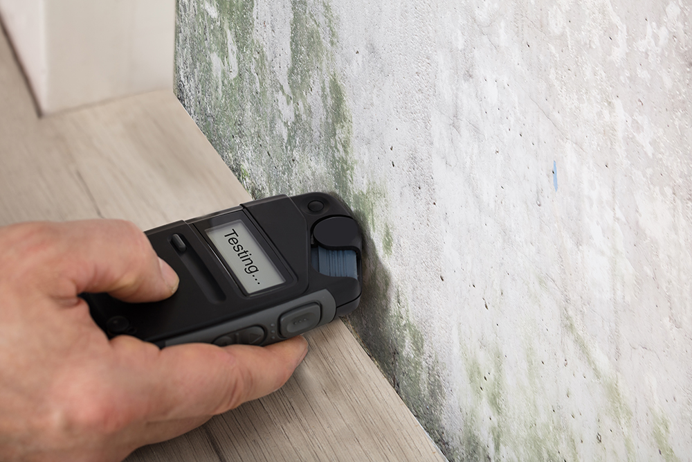 moisture meter being used to test mold on a wall while preforming home inspection services