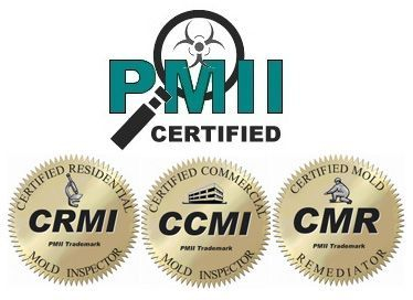 PMI Certified 