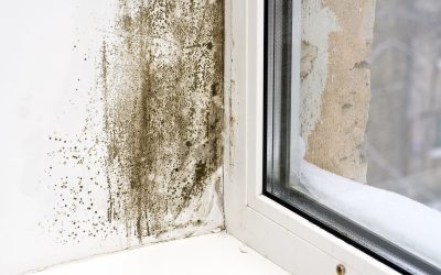 4 Ways to Prevent Mold in the Home