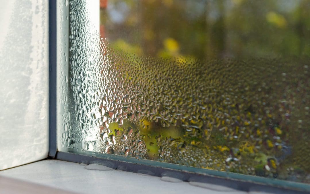 Don’t Ignore the Damp: How to Find and Fix Moisture Problems in Your Home