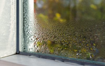 Don’t Ignore the Damp: How to Find and Fix Moisture Problems in Your Home
