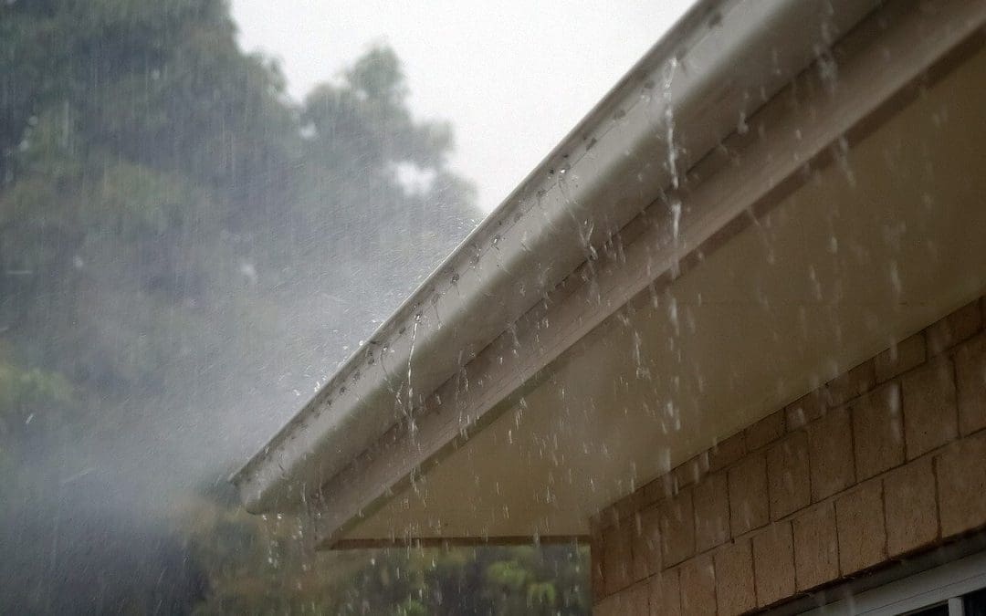 Don’t Wait for the Overflow: Why Cleaning Gutters Matters More Than Most Homeowners Think